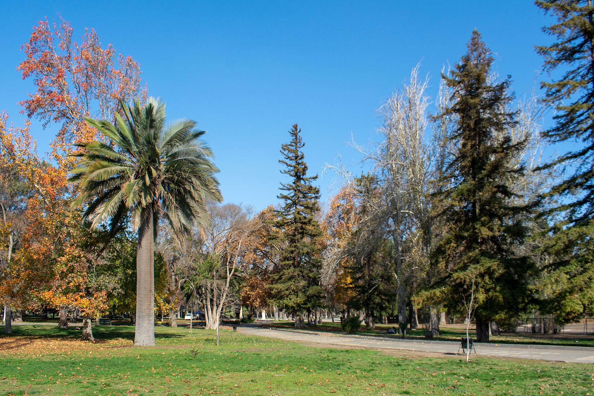 Parque Quinta Normal