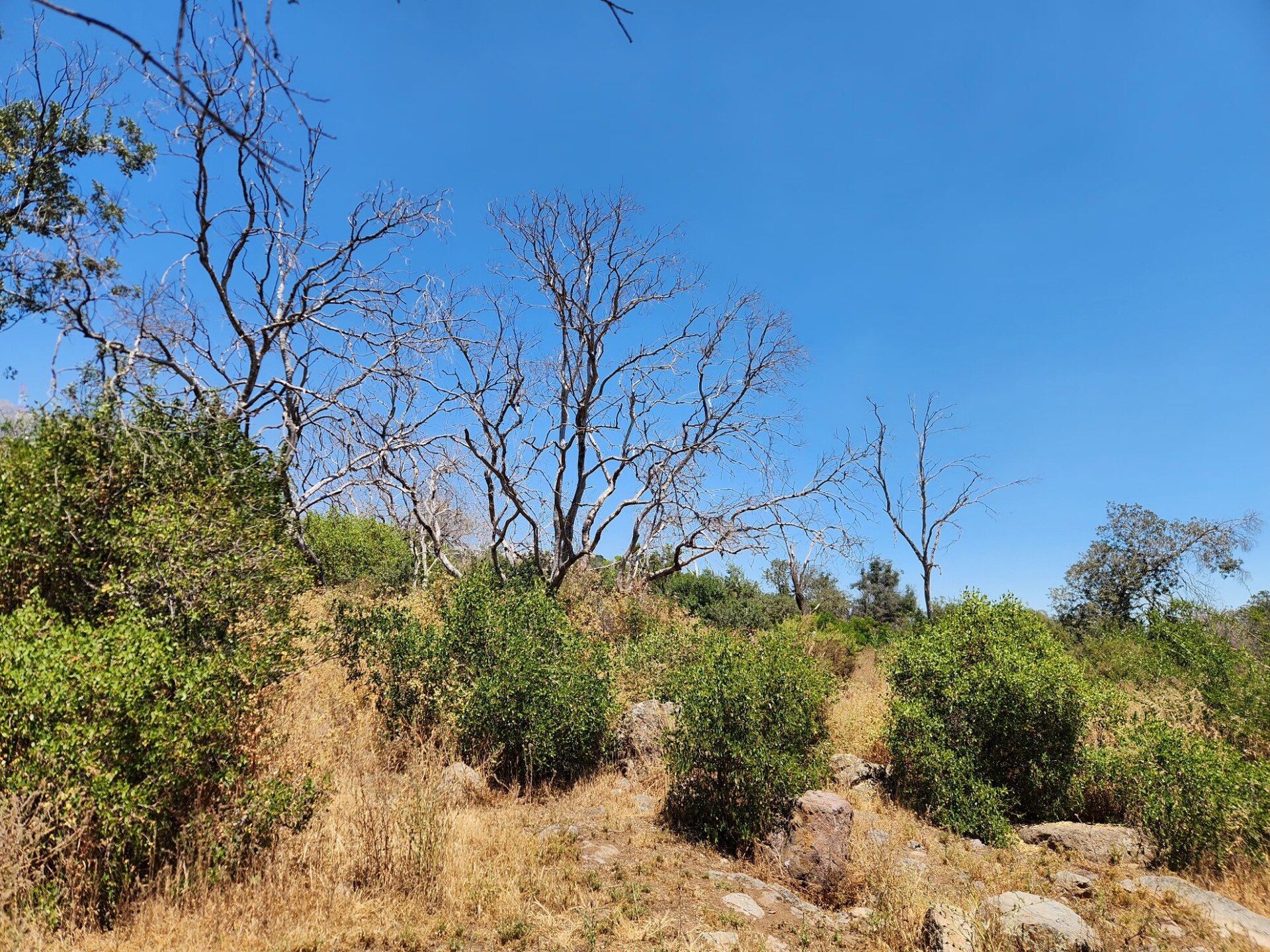 Parque Mahuida