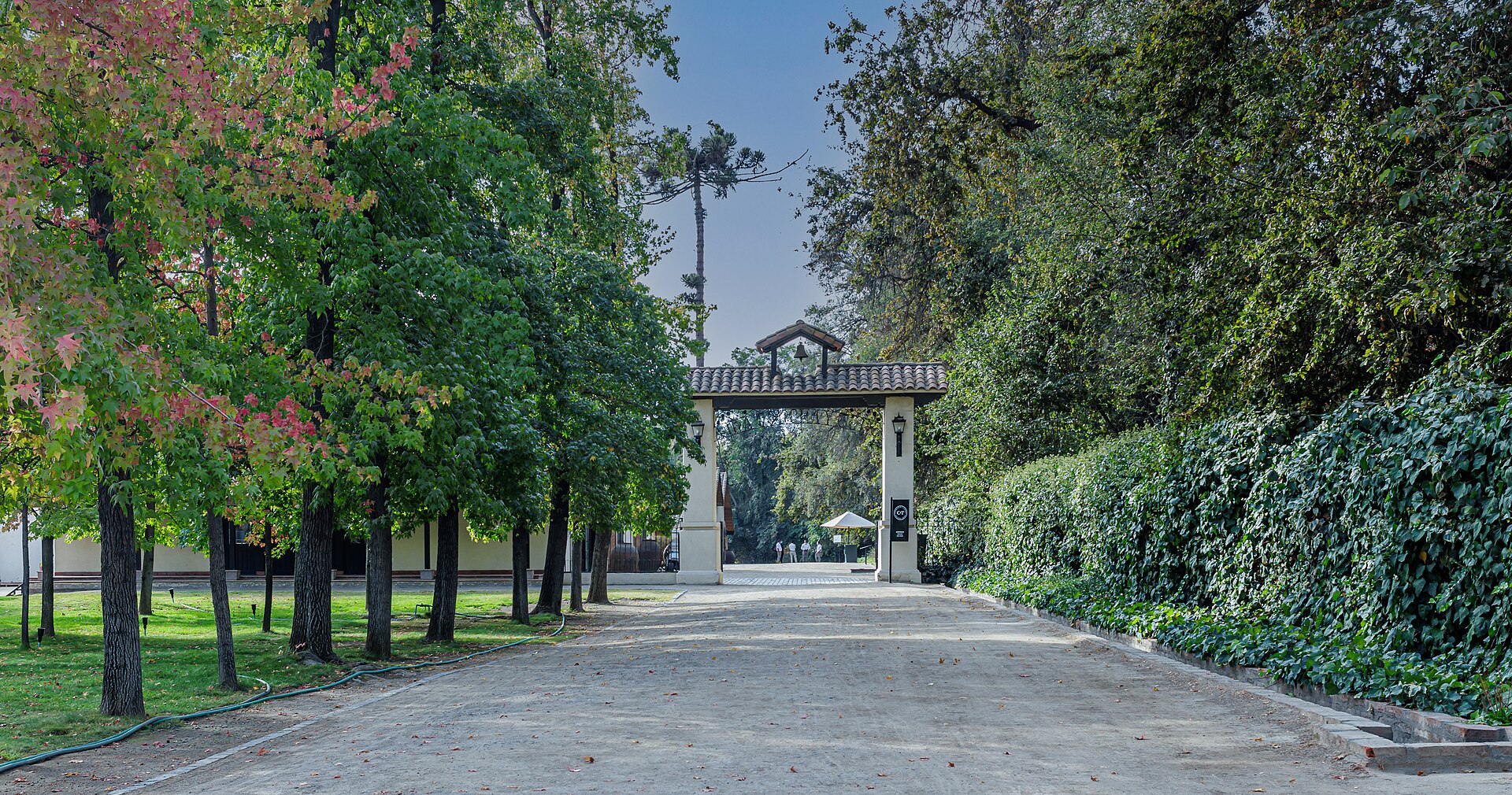 Viña Concha y Toro