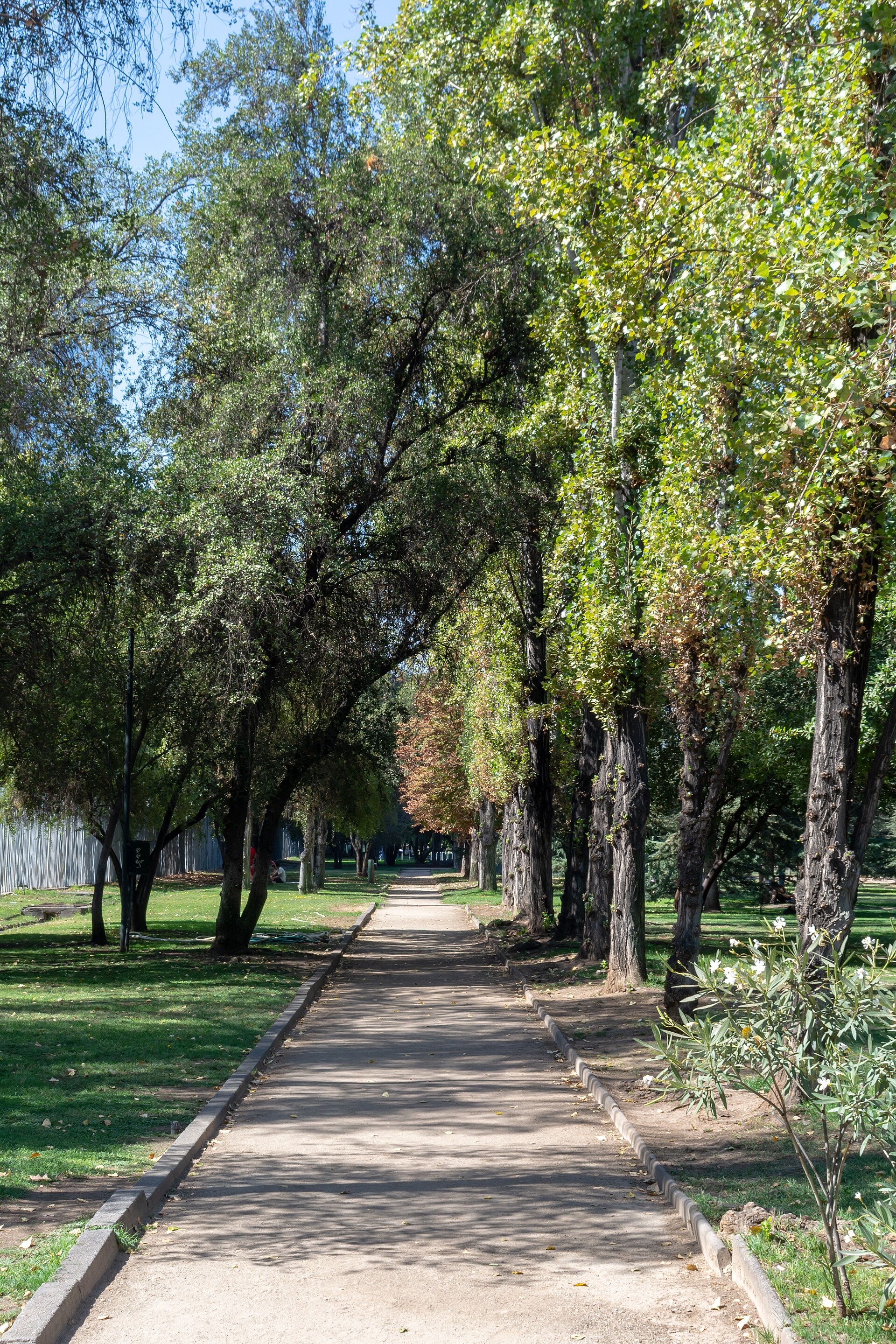 Parque Araucano