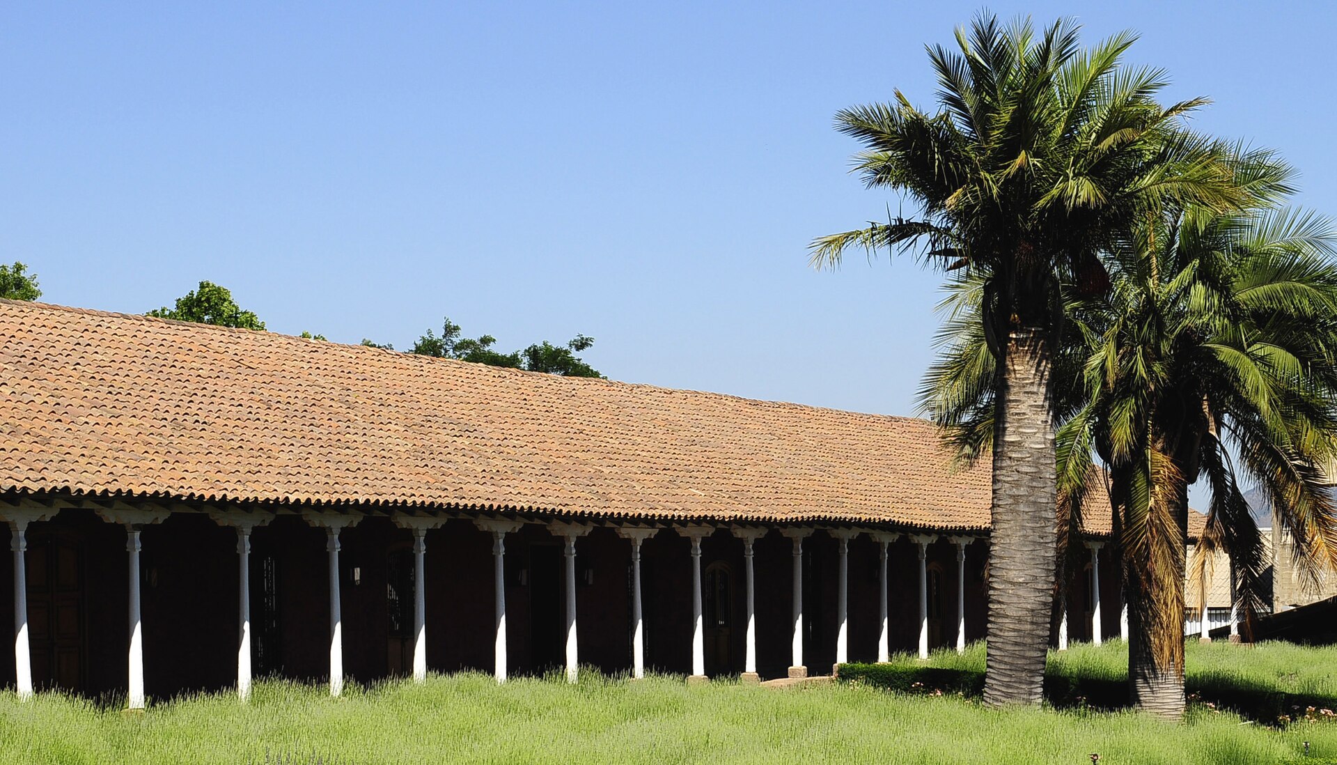 Viña Santa Rita