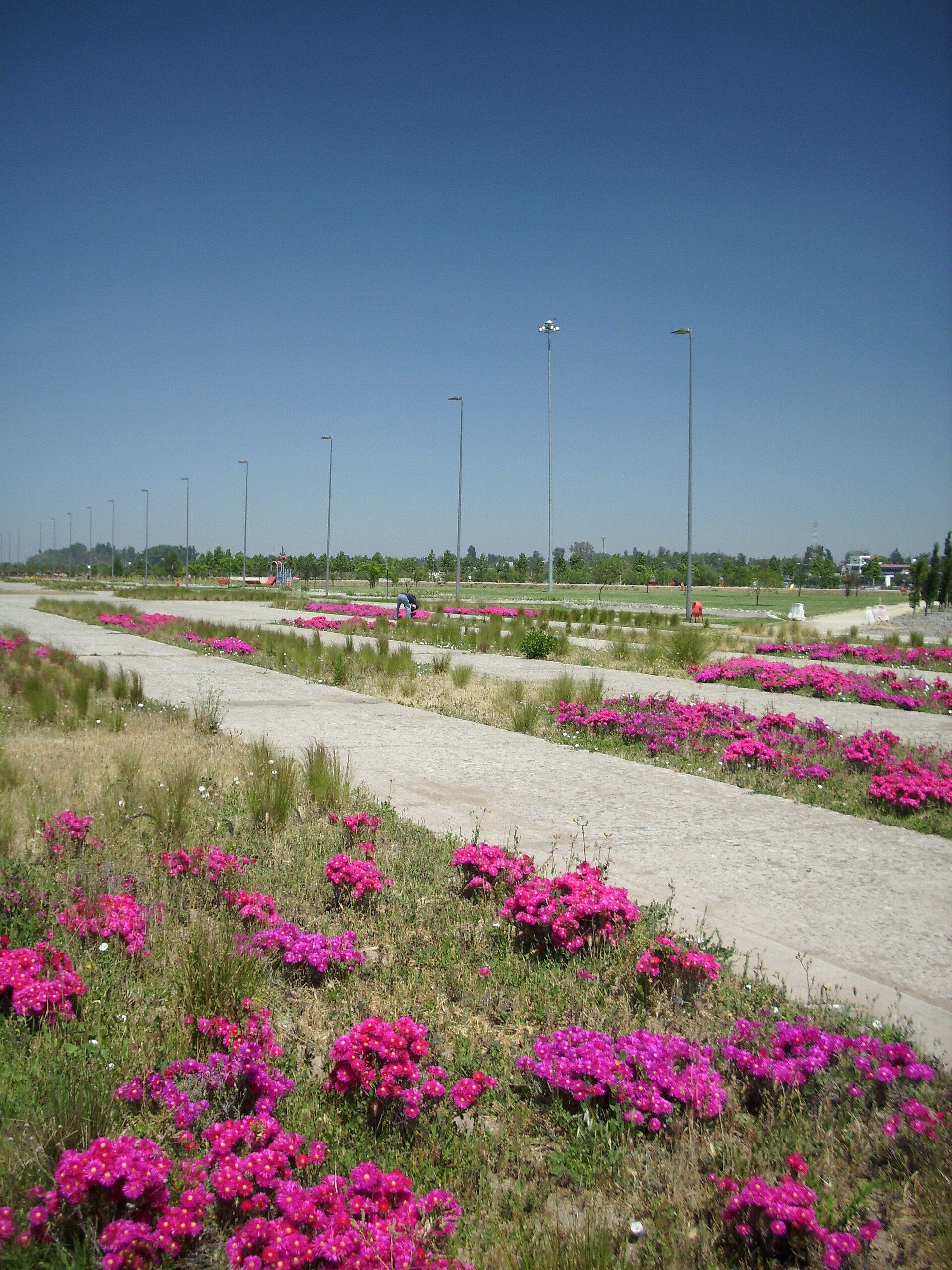 Parque Bicentenario de Cerrillos