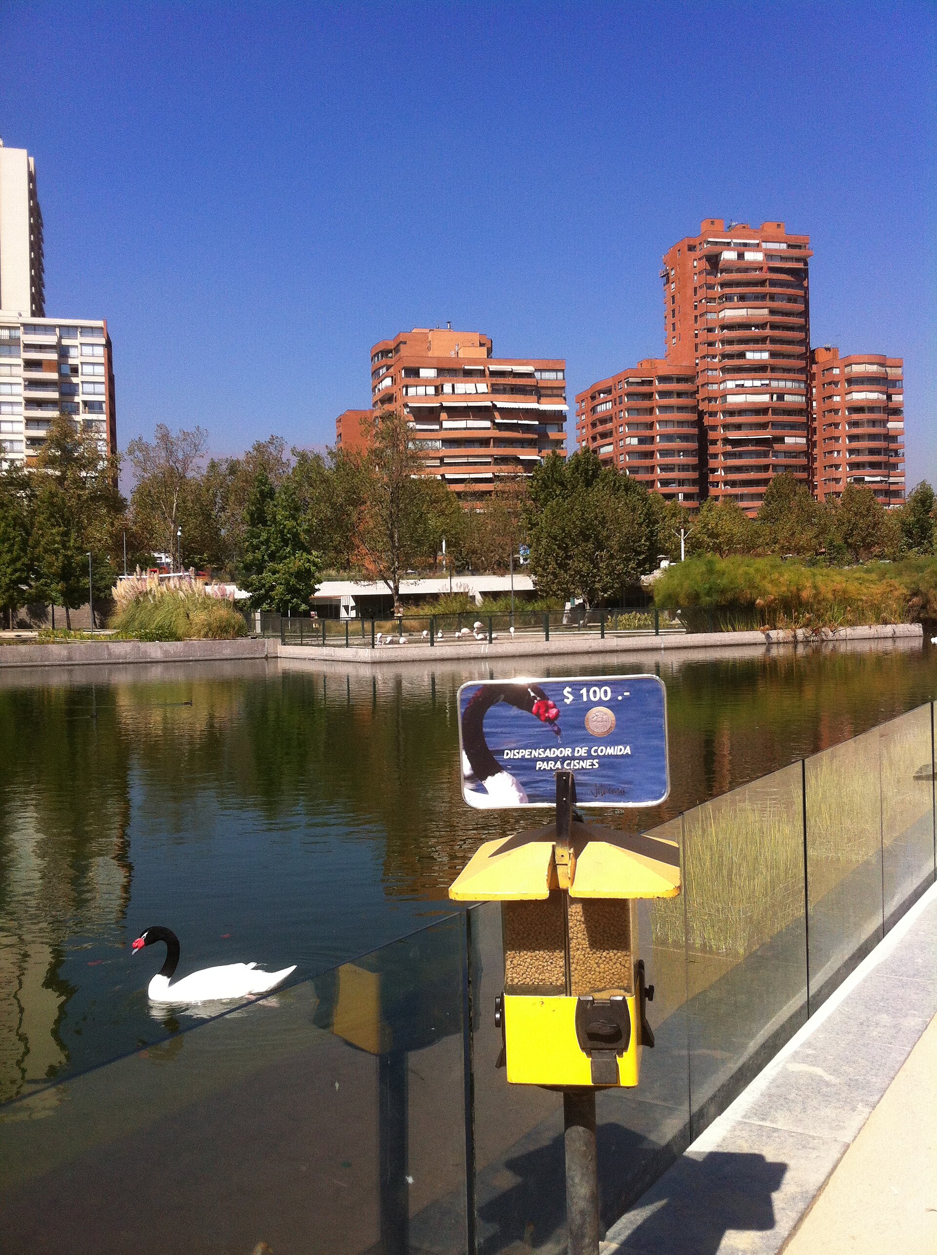 Lagunas artificiales – Parque Bicentenario