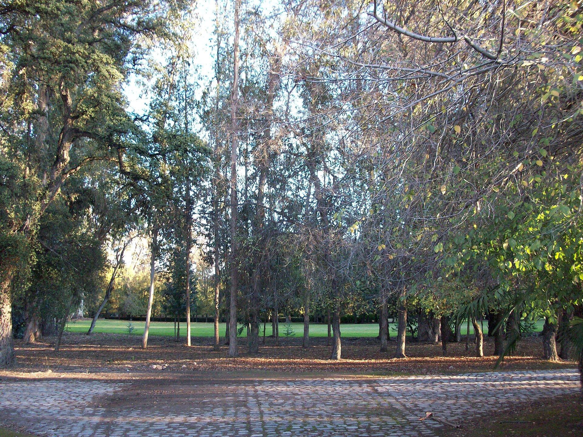 Museo Andino